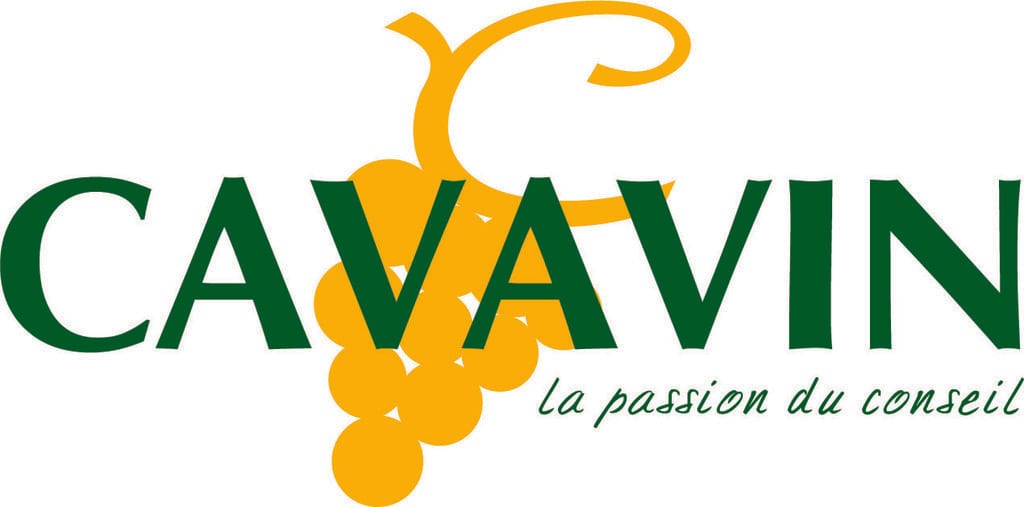 Cavavin